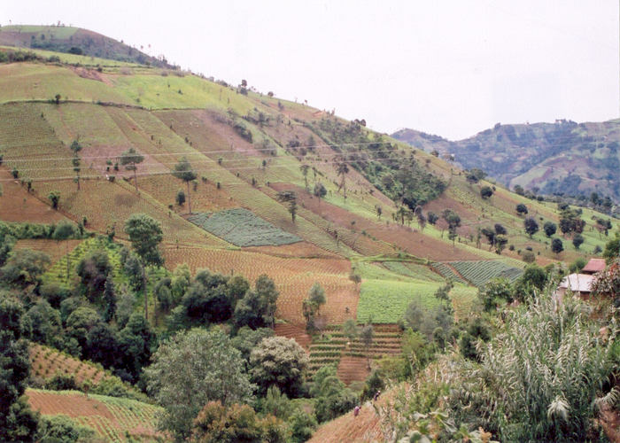 guatemala hills